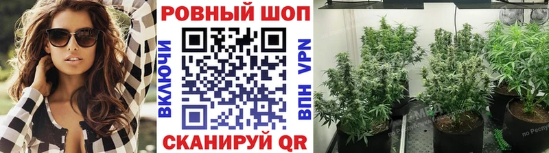 Наркошоп купить КОКАИН  Меф мяу мяу  Конопля  Райчихинск