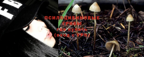 СК Покров