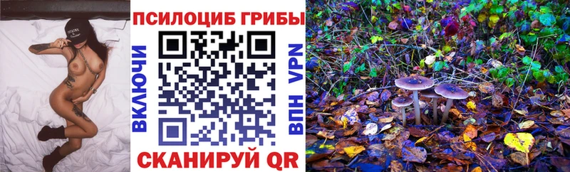 Псилоцибиновые грибы Psilocybine cubensis  Купить  Райчихинск 